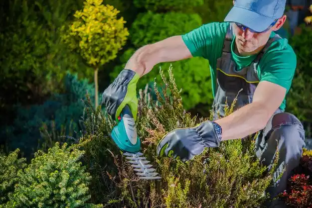 landscaping services North Rose